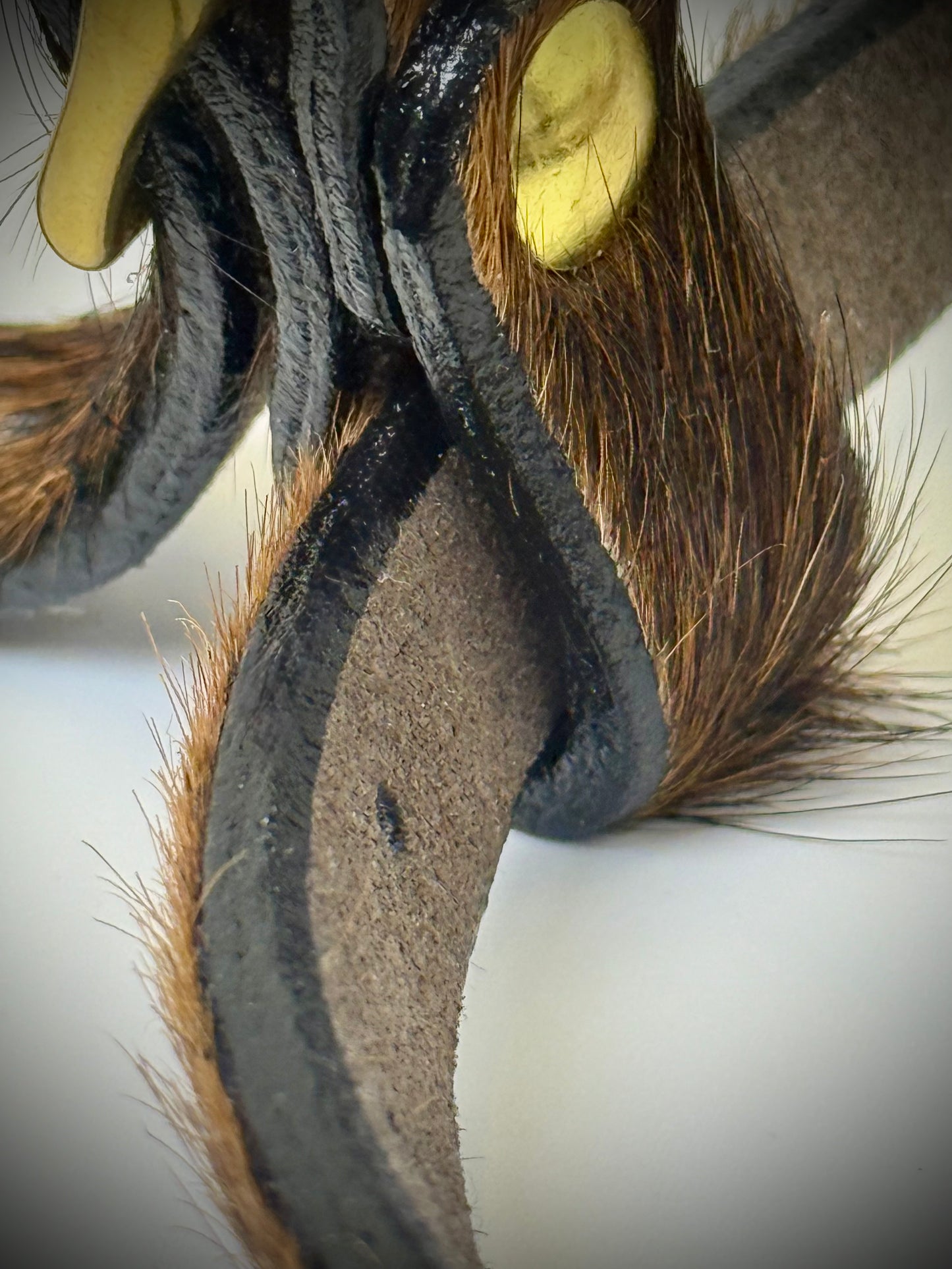 BDSM- Nose and Mouth restraint harness- long hair cowhide for sensory play
